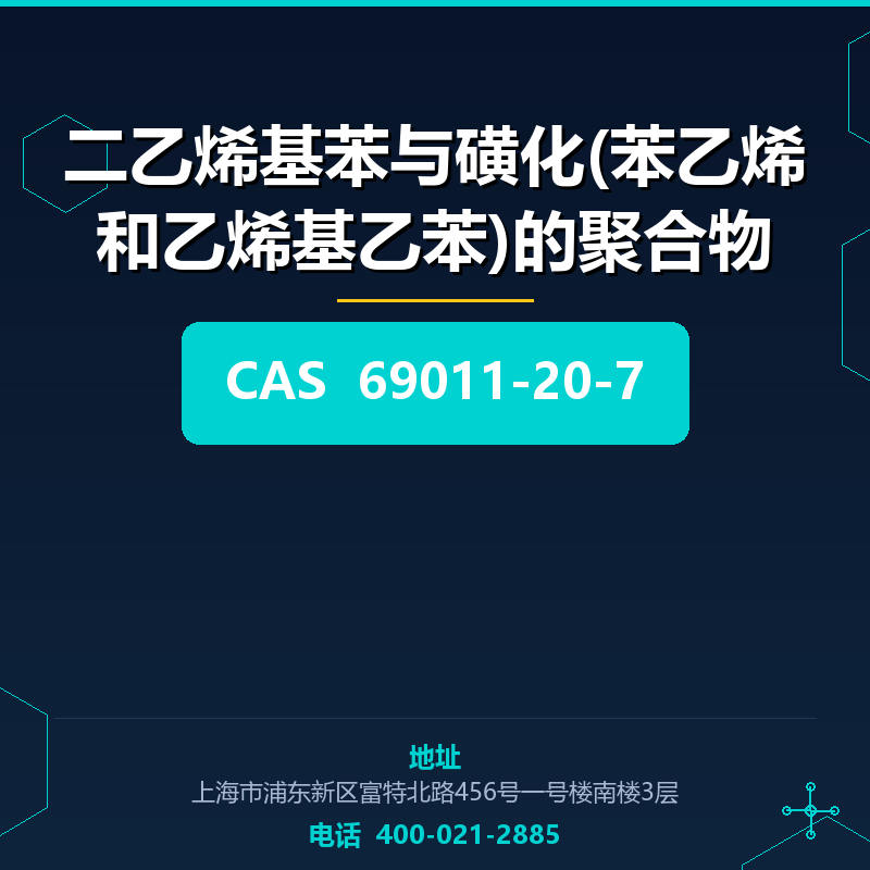 二乙烯基苯与磺化(苯乙烯和乙烯基乙苯)的聚合物