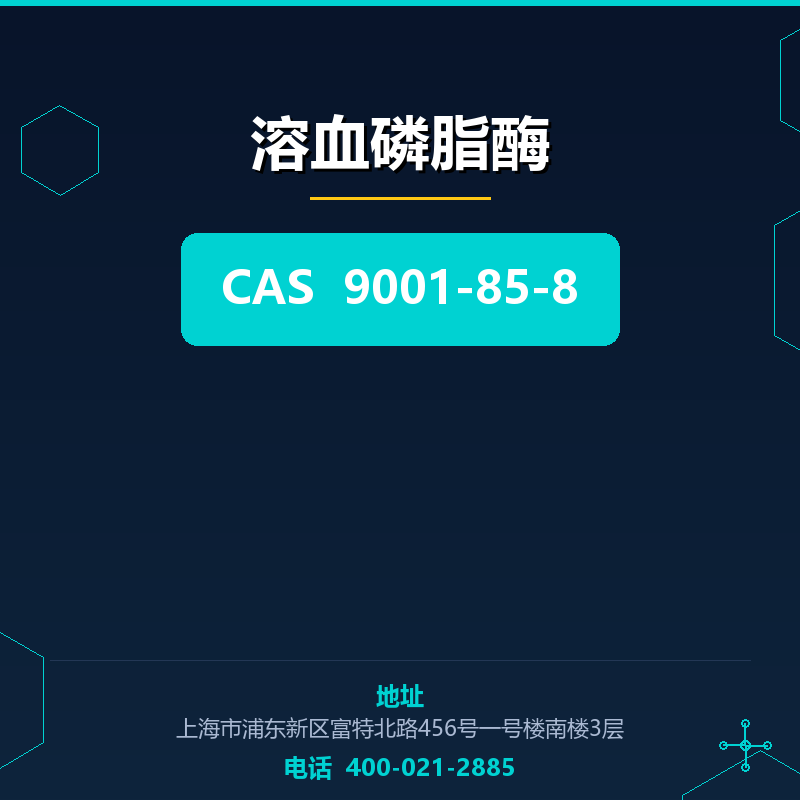 溶血磷脂酶（9001-85-8）