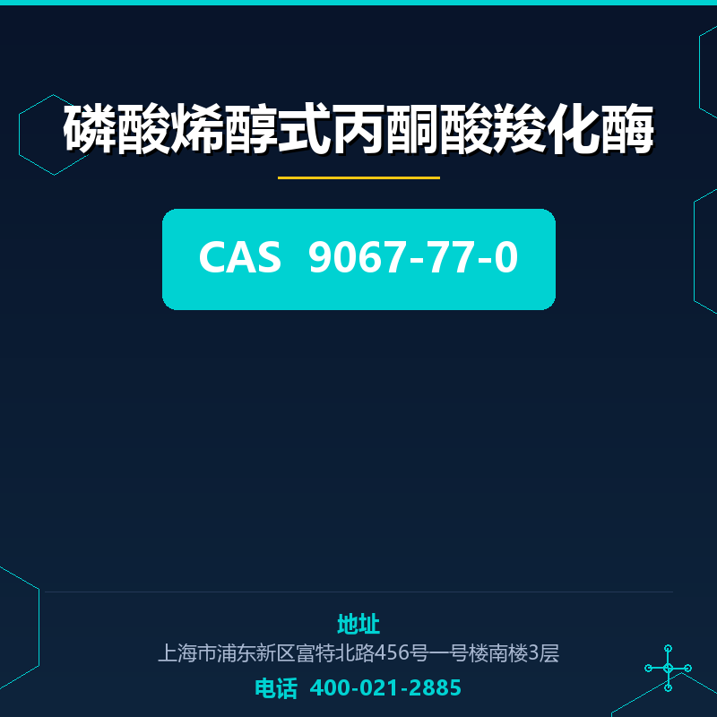 磷酸烯醇式丙酮酸羧化酶