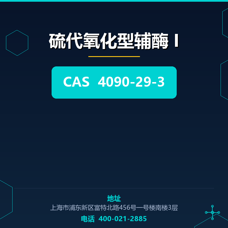 硫代氧化型辅酶 I