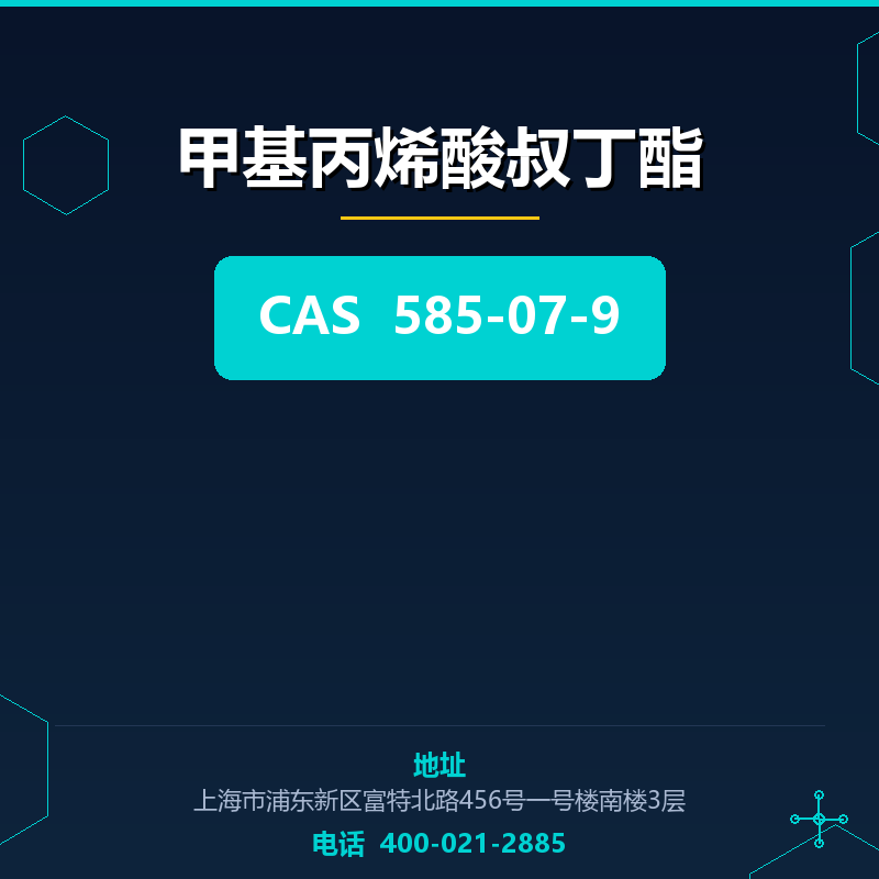 甲基丙烯酸叔丁酯 585-07-9