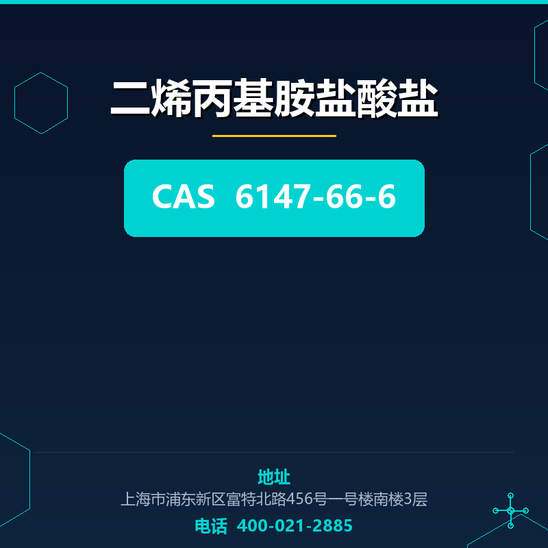 二烯丙基胺盐酸盐