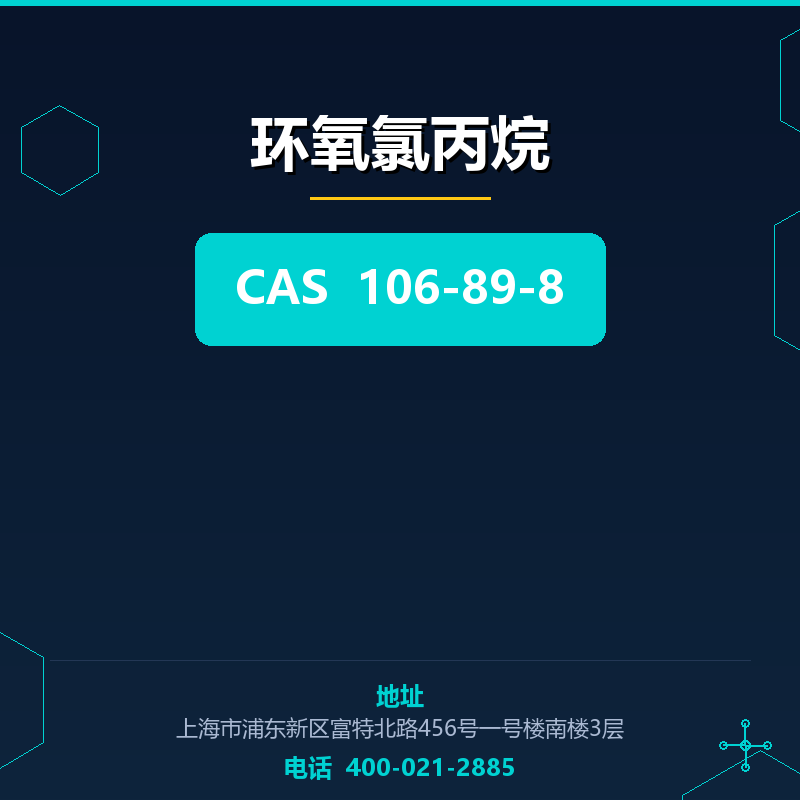 环氧氯丙烷 106-89-8
