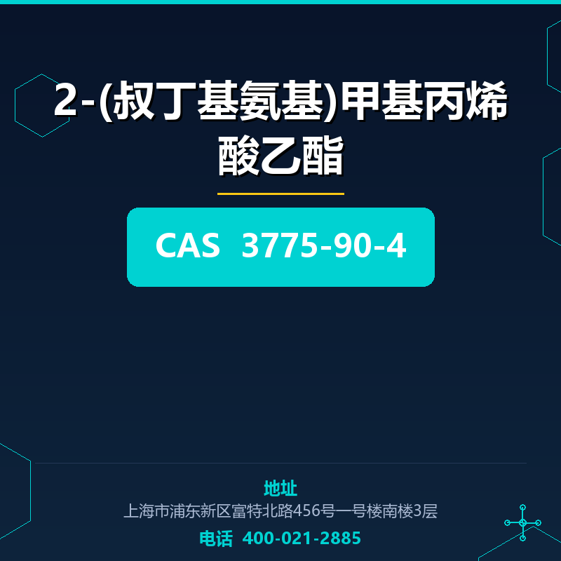 2-(叔丁基氨基)甲基丙烯酸乙酯