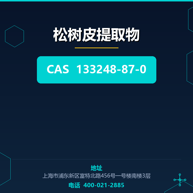 松树皮提取物
