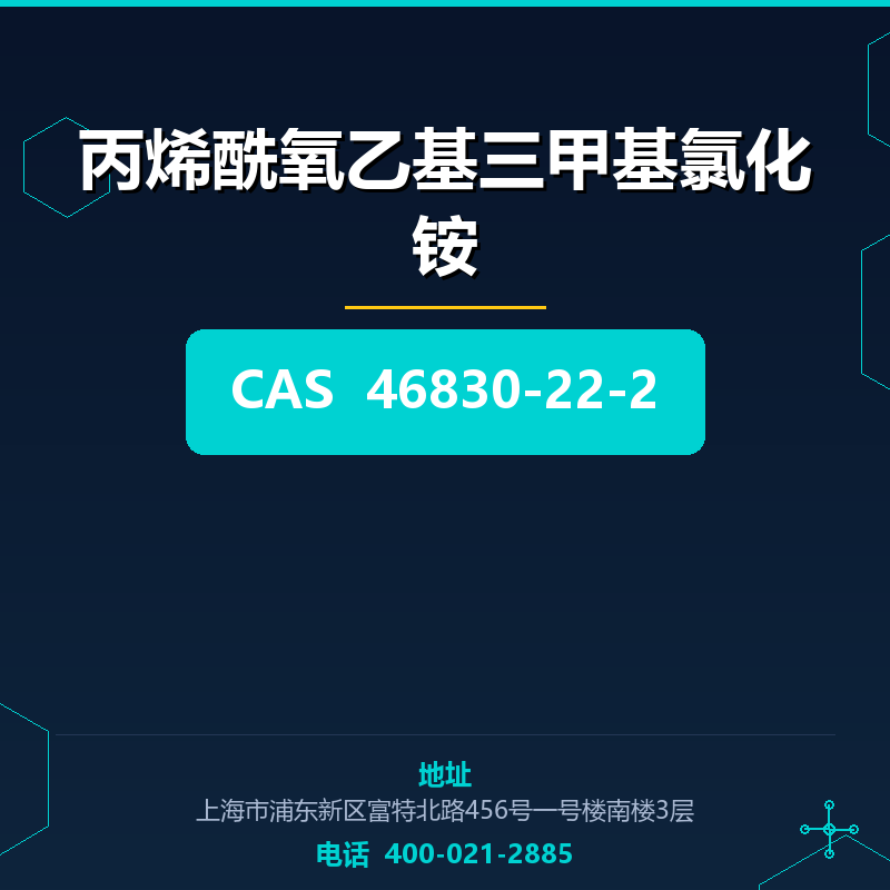 丙烯酰氧乙基三甲基氯化铵 46830-22-2