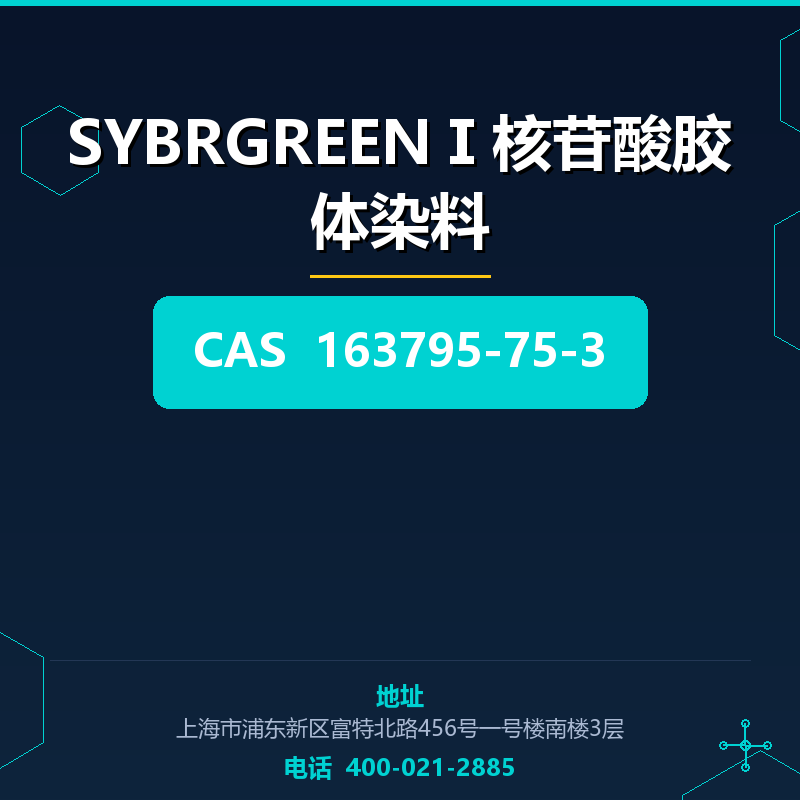 SYBRGREENⅠ核苷酸胶体染料