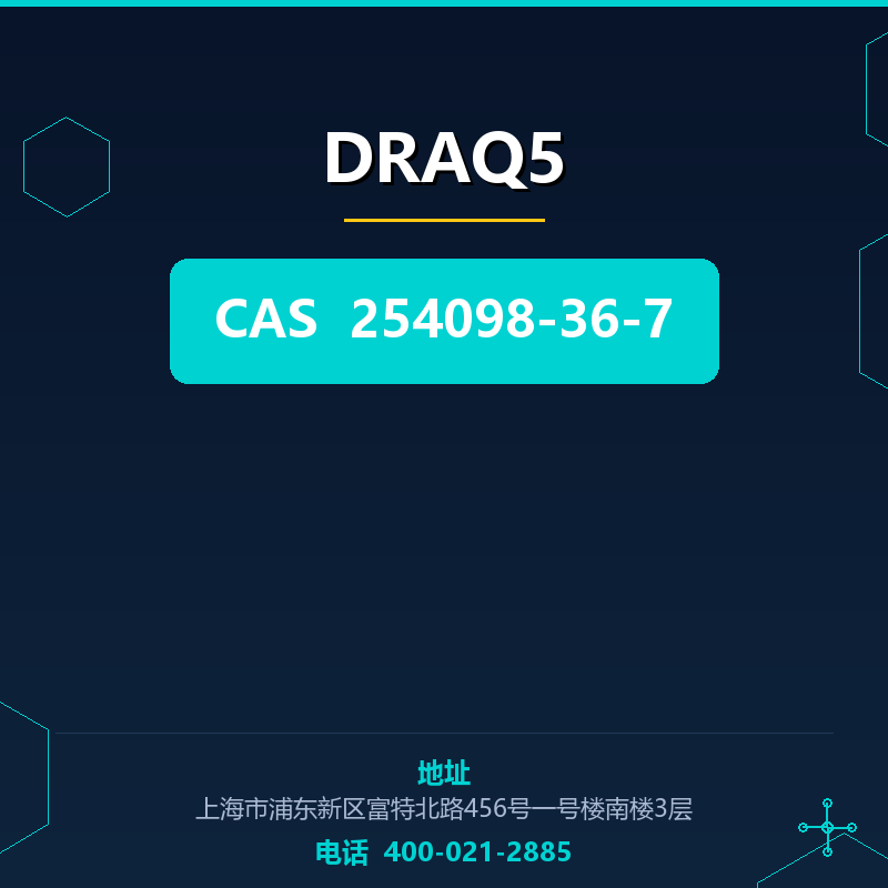 DRAQ5
