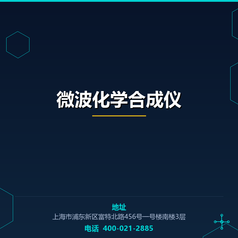 微波化学合成仪 None