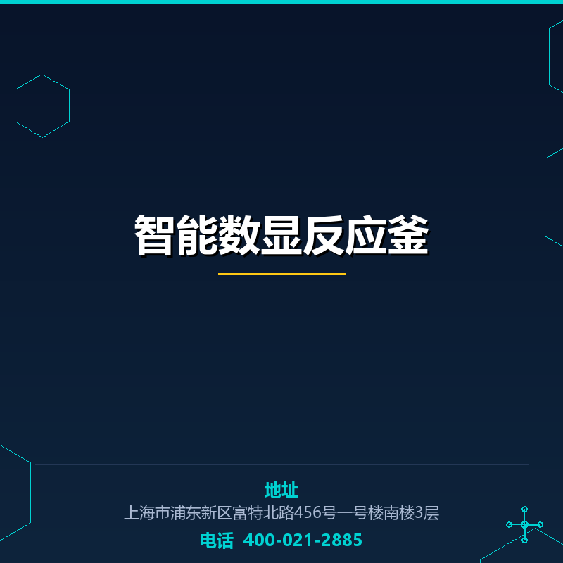 智能数显反应釜 None
