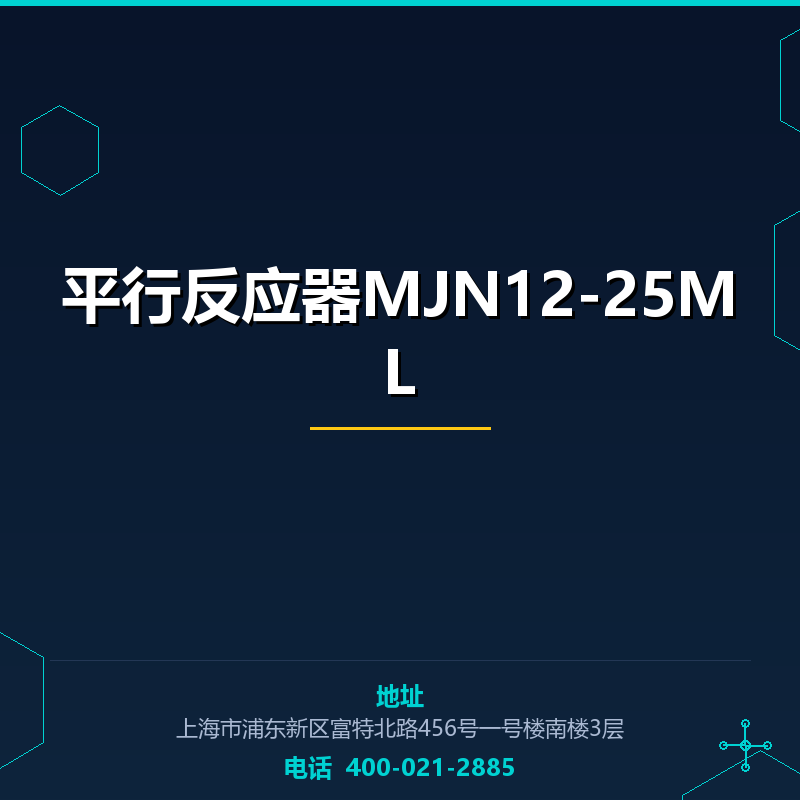 平行反应器MJN12-25ML None