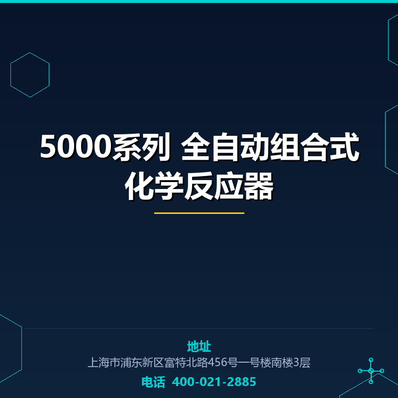 5000系列 全自动组合式化学反应器 None