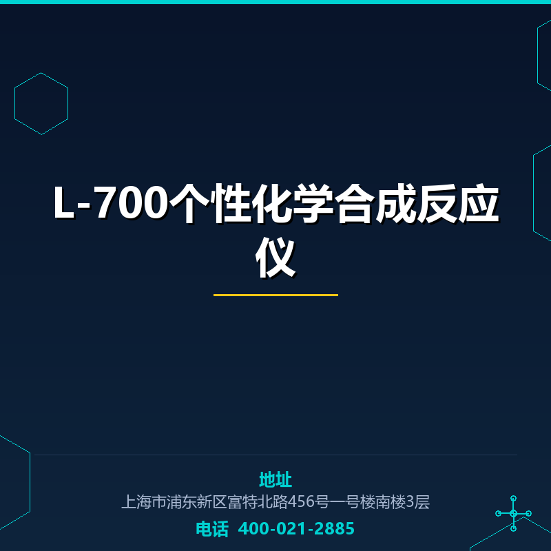 L-700个性化学合成反应仪 None