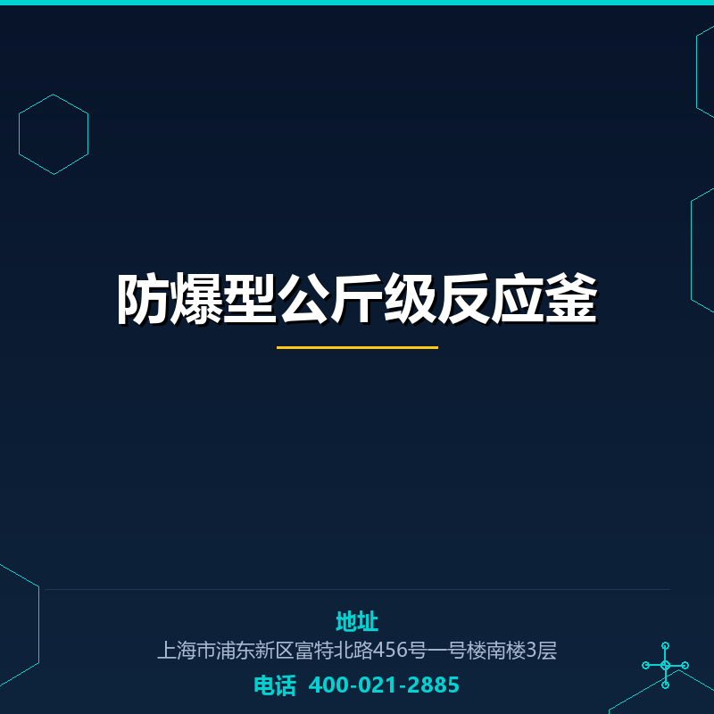 防爆型公斤级反应釜 None