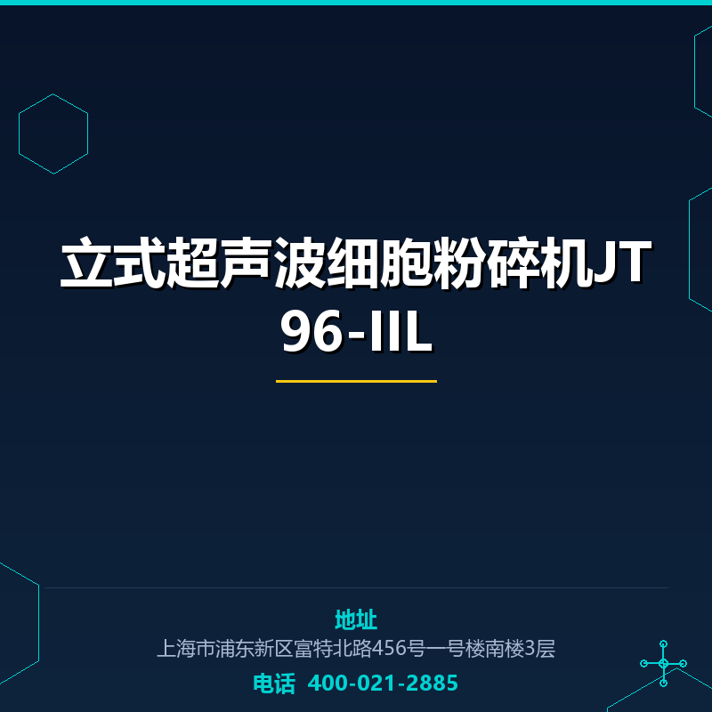 立式超声波细胞粉碎机JT96-IIL None