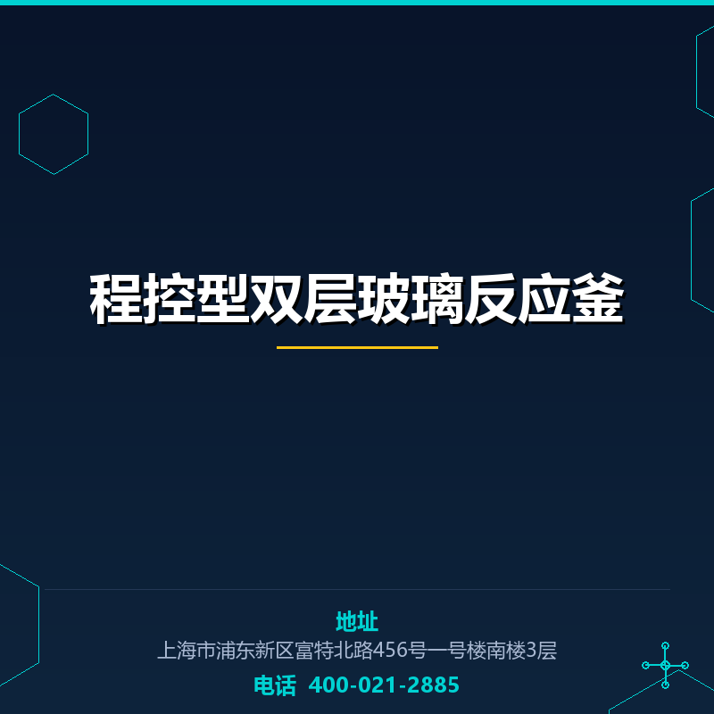 程控型双层玻璃反应釜 None