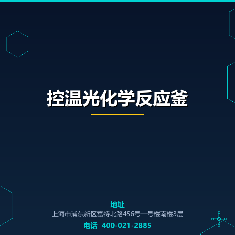 控温光化学反应釜 None