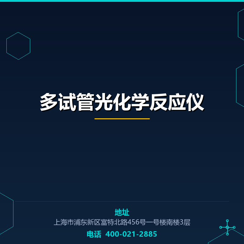 多试管光化学反应仪 None