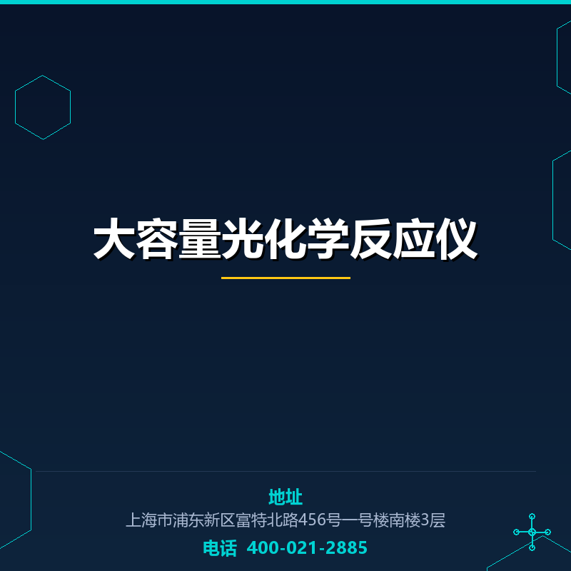 大容量光化学反应仪 None