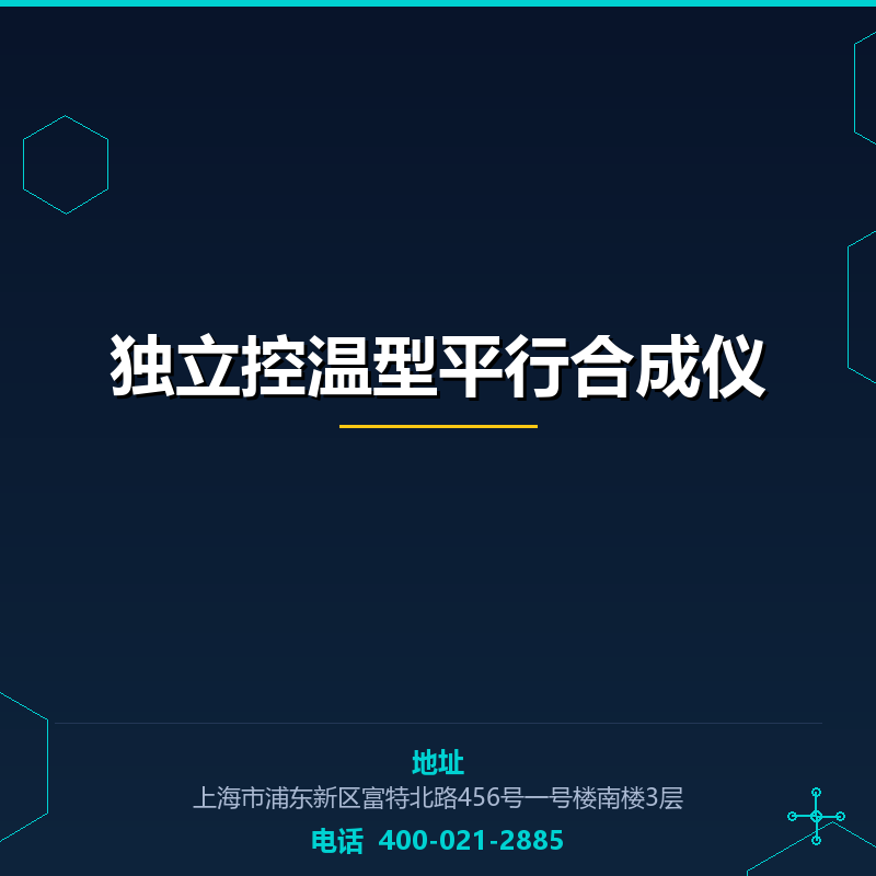 独立控温型平行合成仪 None
