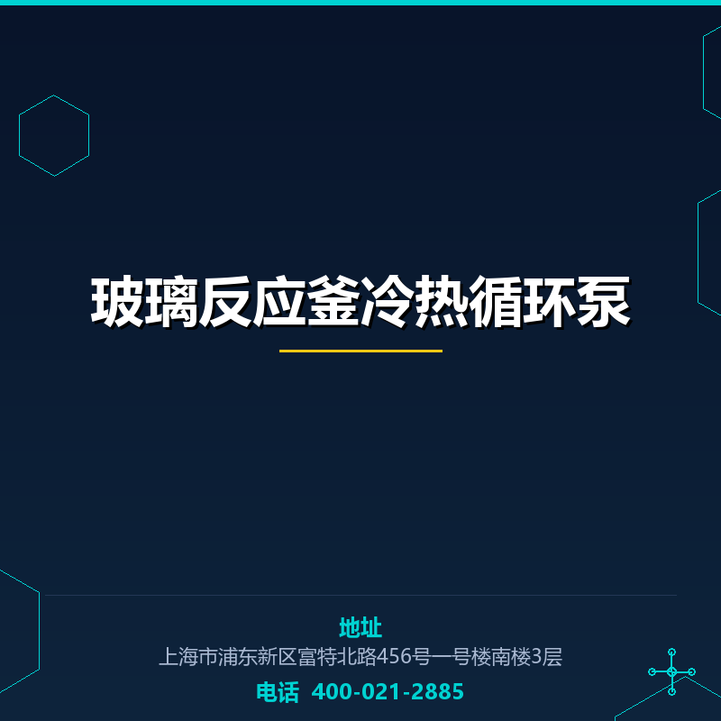玻璃反应釜冷热循环泵 None
