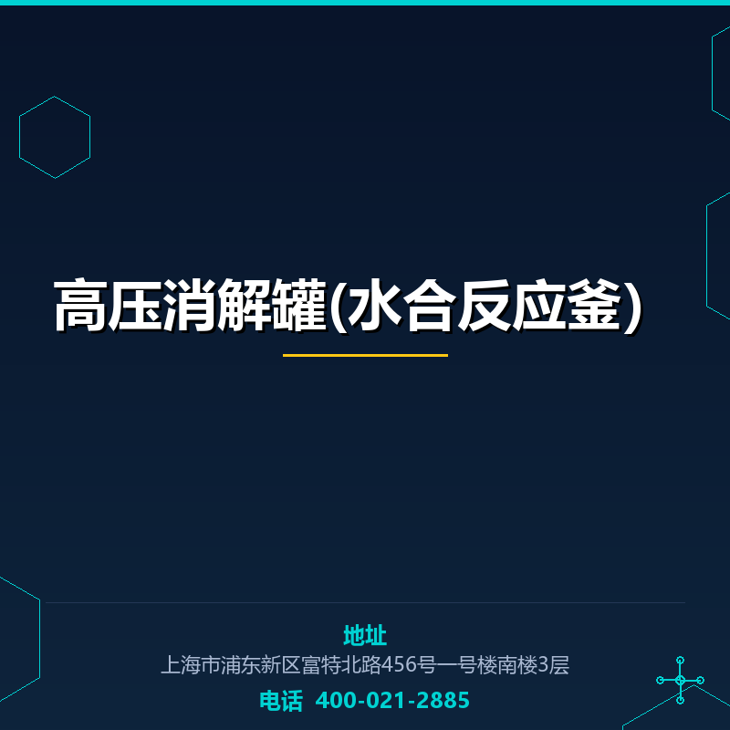 高压消解罐(水合反应釜）