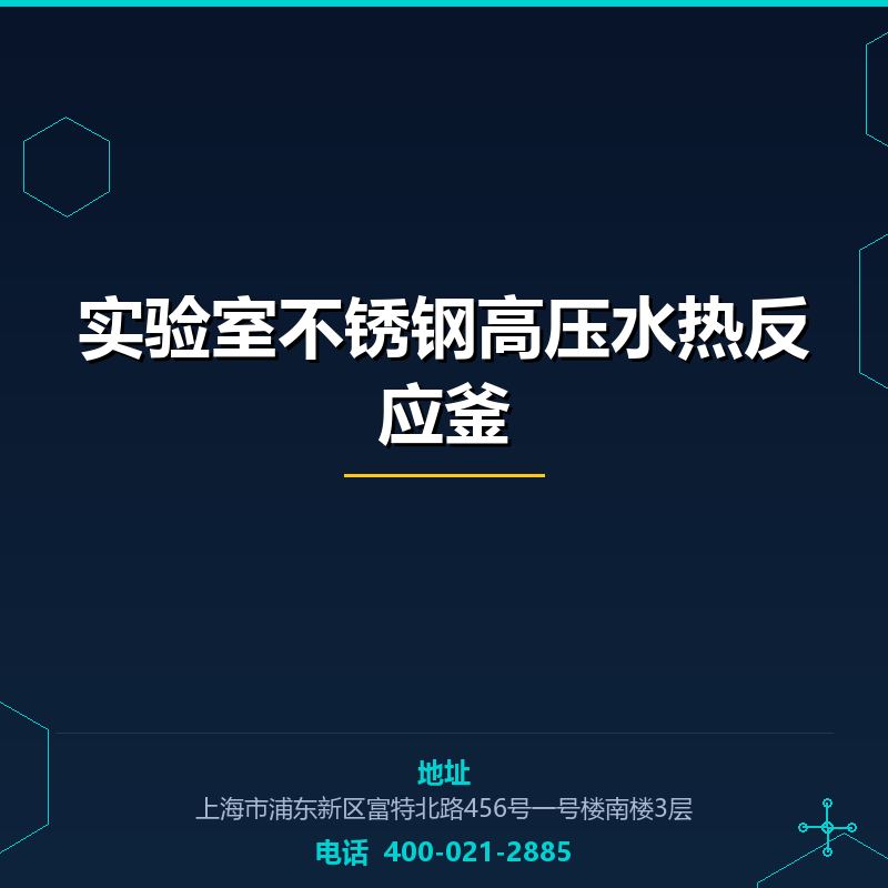 实验室不锈钢高压水热反应釜 None