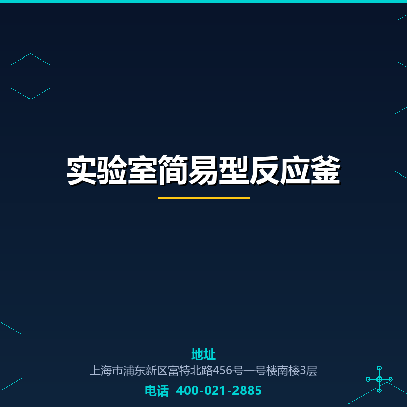 实验室简易型反应釜 None