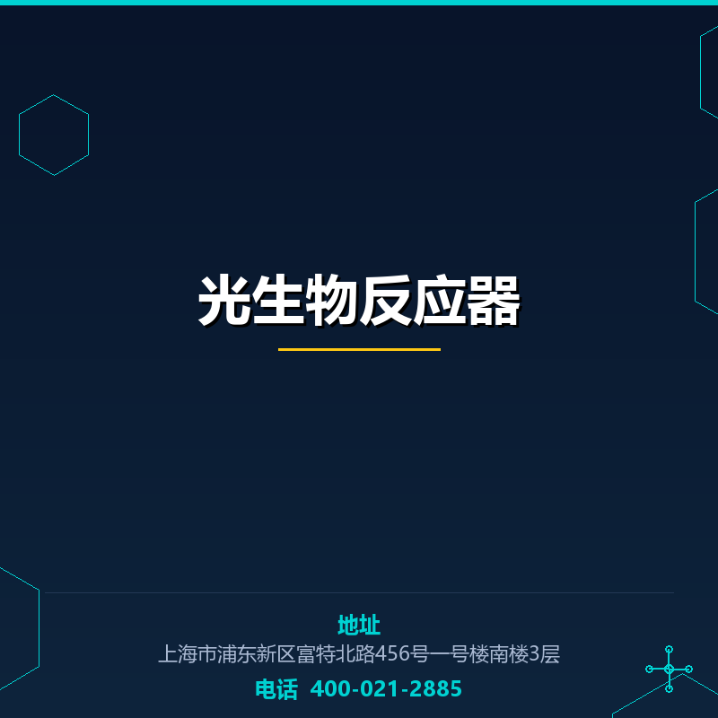光生物反应器 None