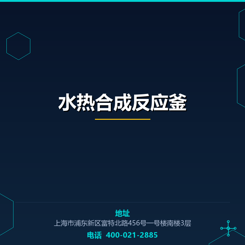 水热合成反应釜 None