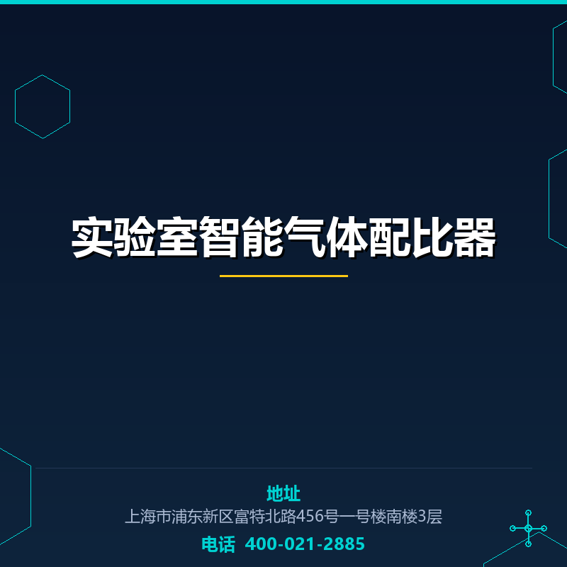 实验室智能气体配比器 None