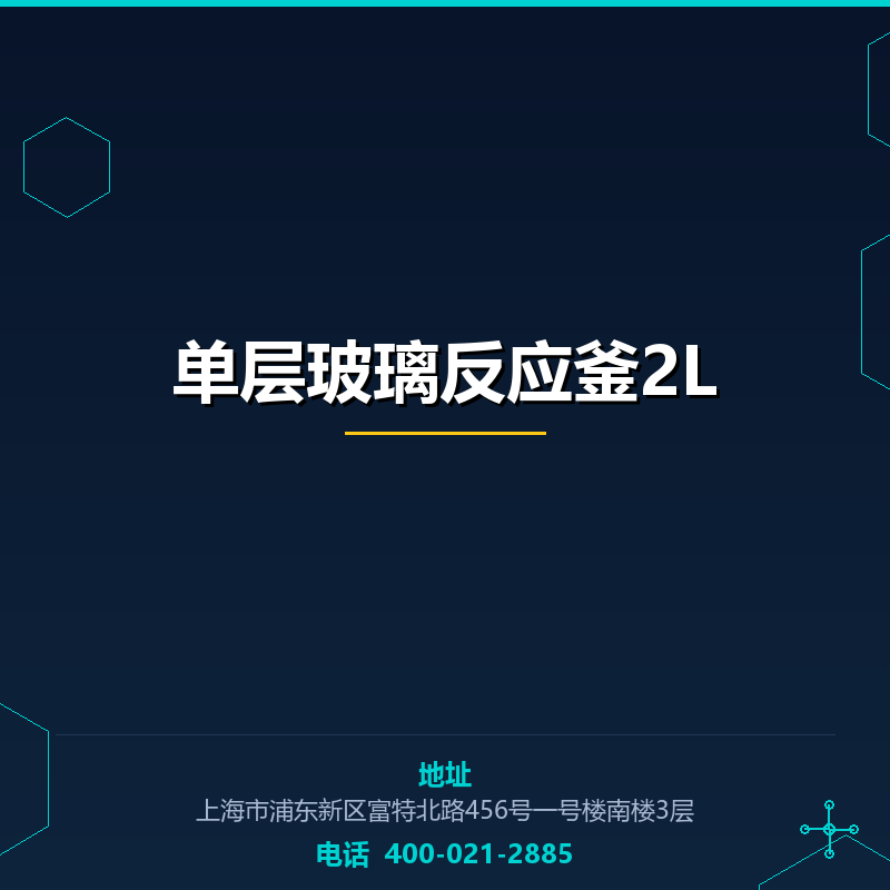 单层玻璃反应釜2L None