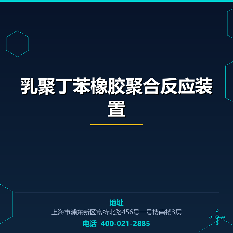 乳聚丁苯橡胶聚合反应装置 None
