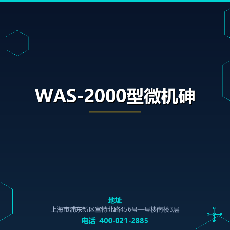 WAS-2000型微机砷含量测定仪 None