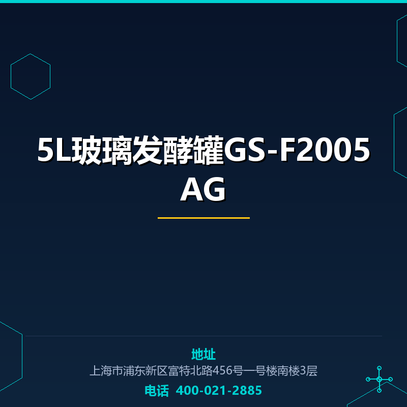 5L玻璃发酵罐GS-F2005AG None