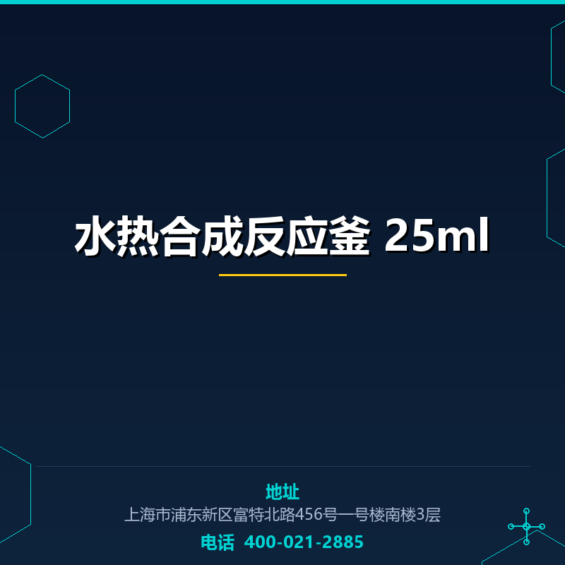 水热合成反应釜 25ml None