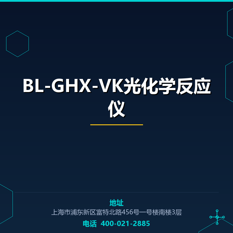 BL-GHX-VK光化学反应仪 None