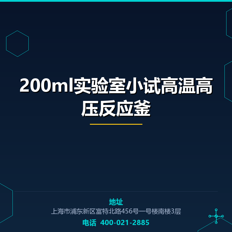 200ml实验室小试高温高压反应釜 None