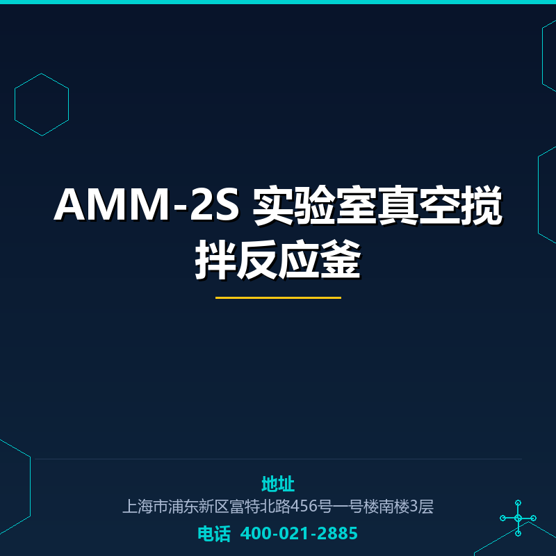 AMM-2S 实验室真空搅拌反应釜 None