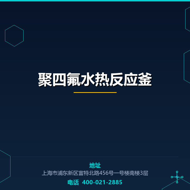 聚四氟水热反应釜 None