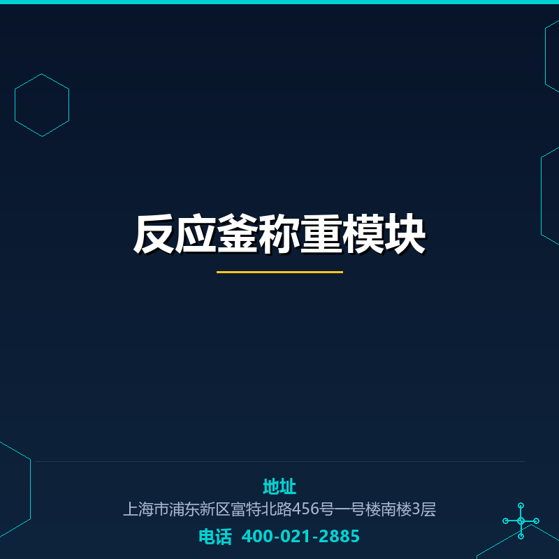 反应釜称重模块 None