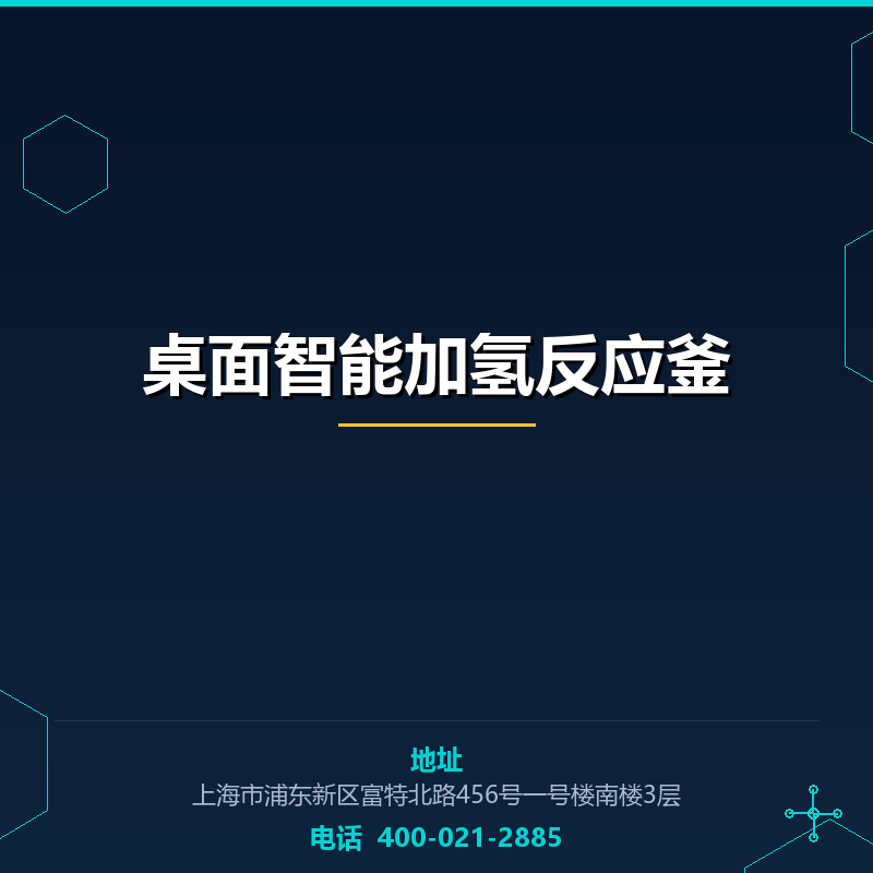 桌面智能加氢反应釜 None