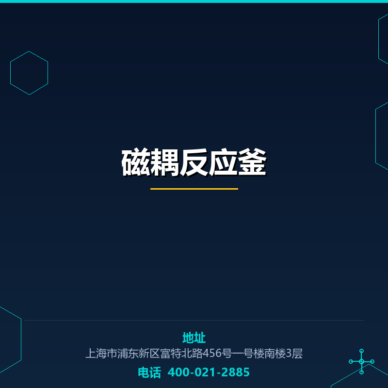磁耦反应釜 None