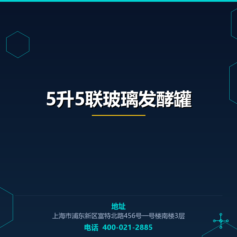 5升5联玻璃发酵罐 None
