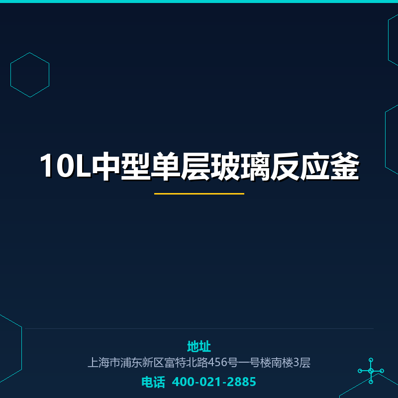 10L中型单层玻璃反应釜 None
