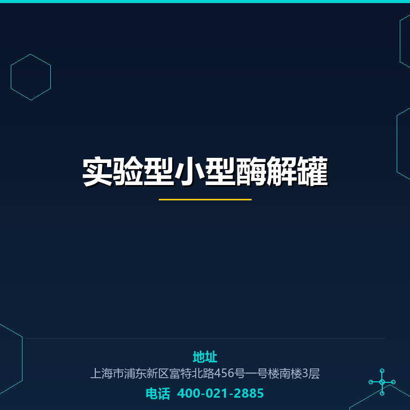 实验型小型酶解罐 None