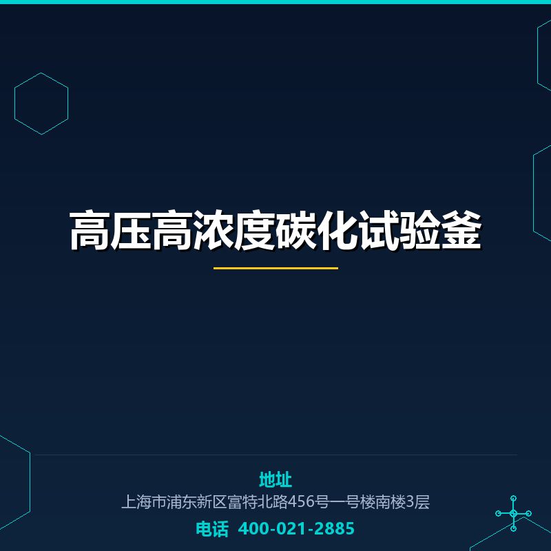 高压高浓度碳化试验釜 None