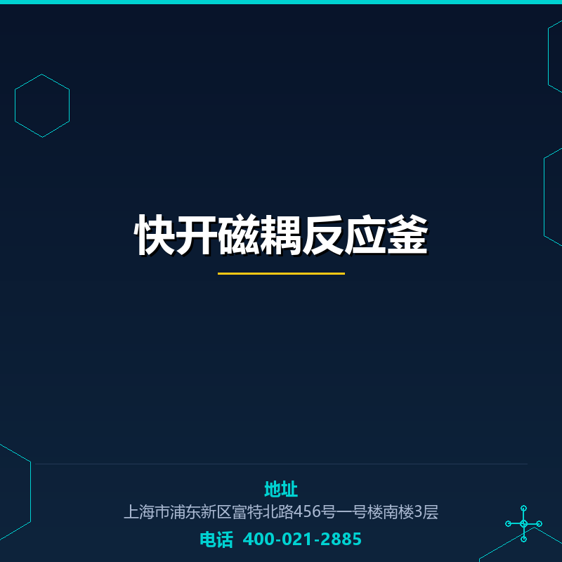 快开磁耦反应釜 None