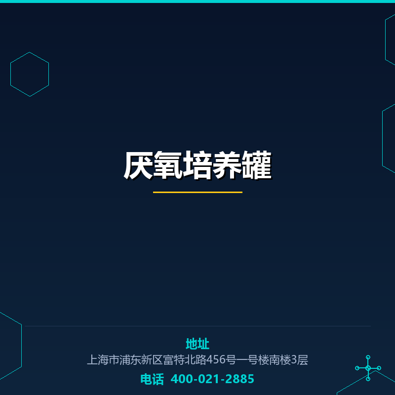 厌氧培养罐 None