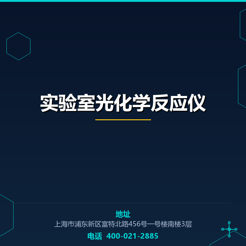实验室光化学反应仪 None